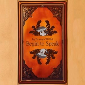 Begin to Speak TOOL Cards