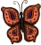 butterfly1C