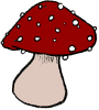 mushroomredC