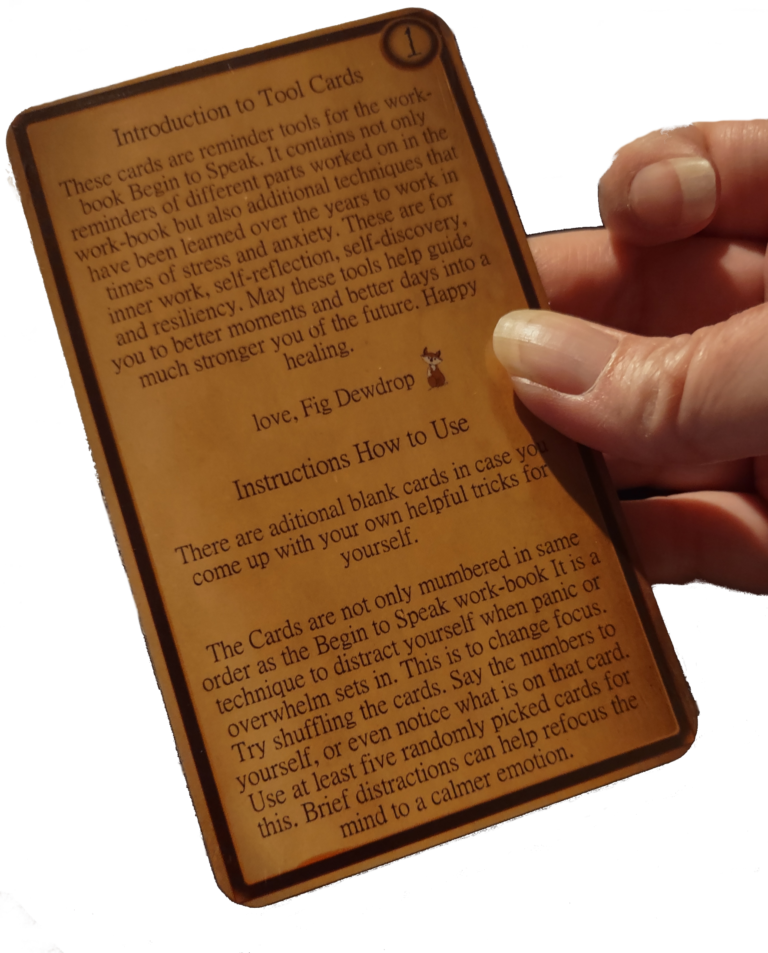 Intro / instruction card (real product image)